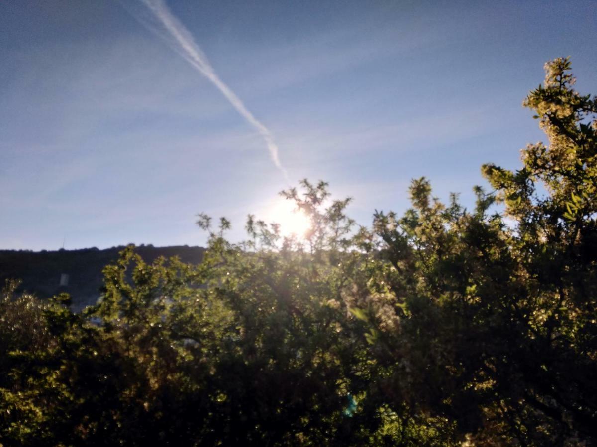 Su Pranu Otel Onifai Dış mekan fotoğraf